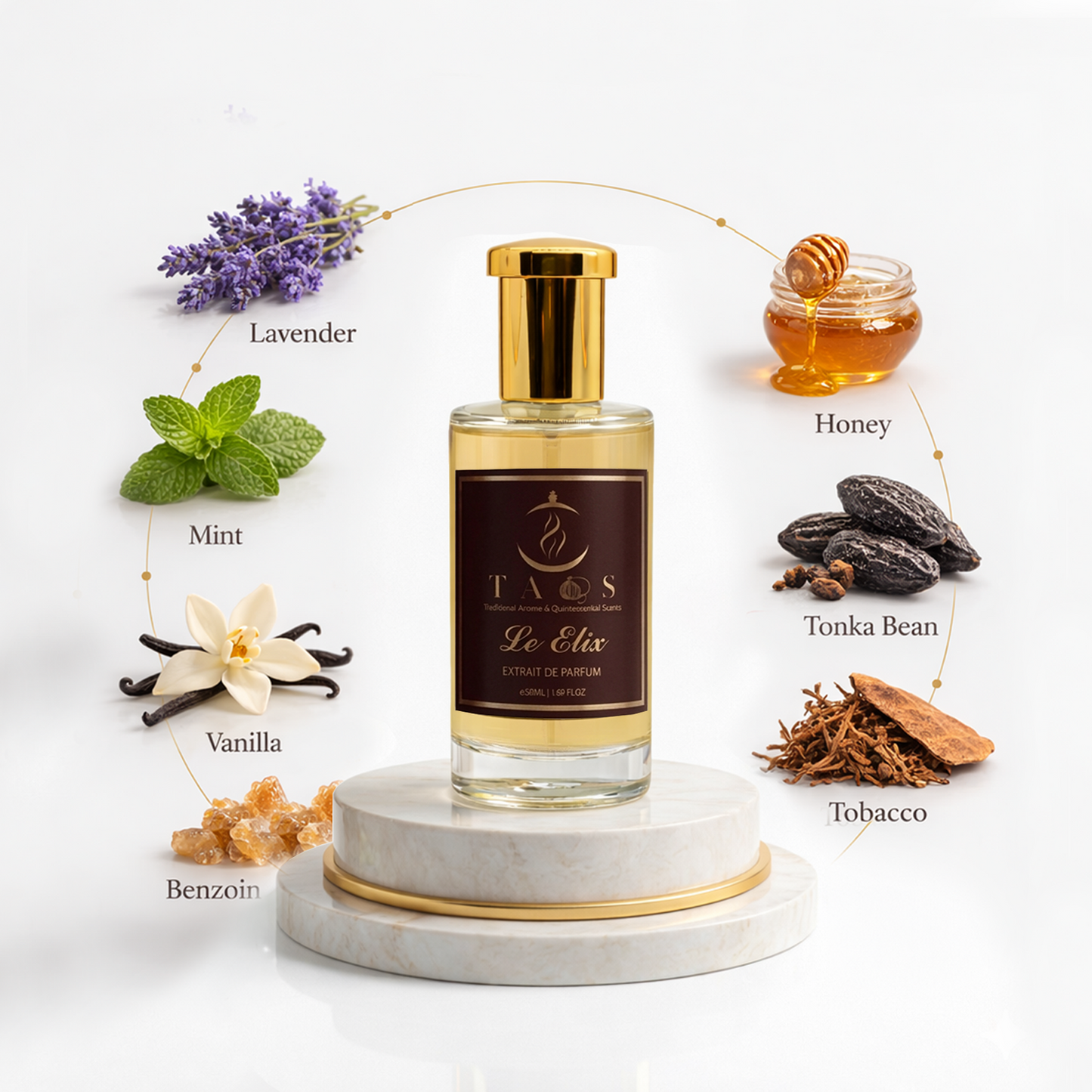 Le Elix | Inspired by Le Male Elixir